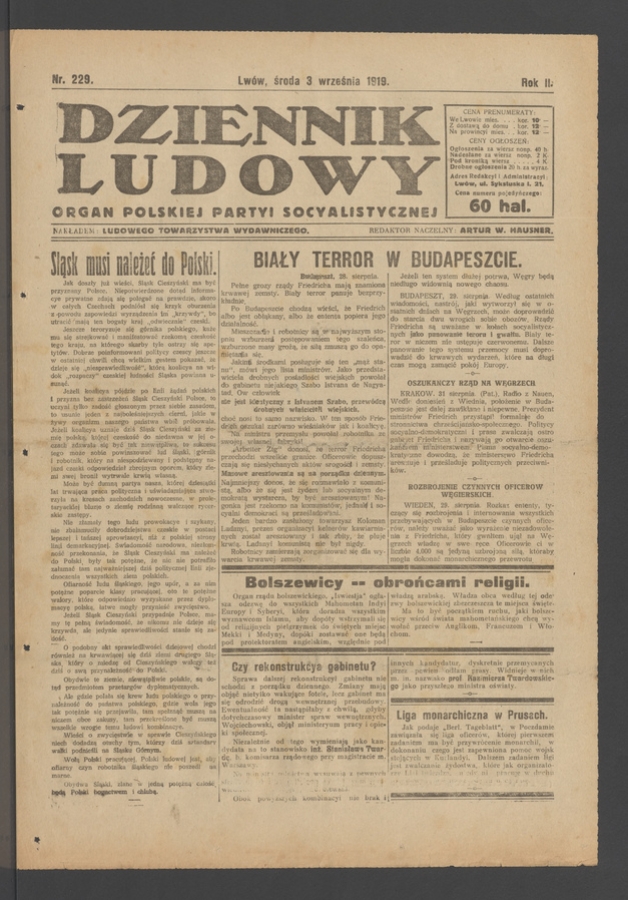Dziennik Ludowy : organ Polskiej Partyi Socyalistycznej. Rok 2, 1919, numer 229